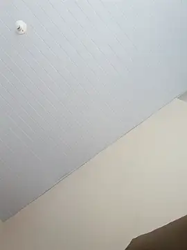 Morenodotado0 online show from 24, 2, 2026