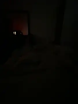 llllllllIIIll online show from 17, 2, 2026