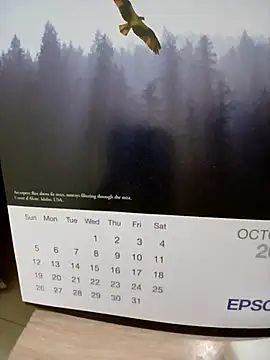 Kolkatacock06 online show from 24, 10, 2025