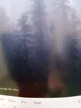 Kolkatacock06 online show from 26, 10, 2025