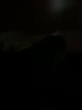 PassionCoupleLove online show from 26, 10, 2025