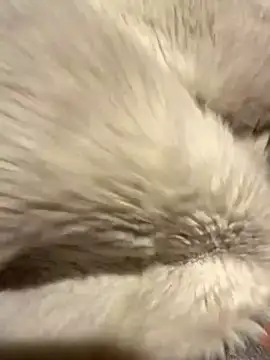 Jackoff2345 online show from 26, 10, 2025