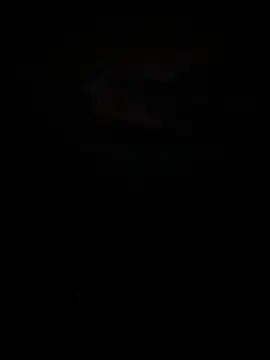 wloczykij1 online show from 12, 11, 2025