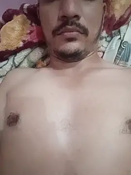 indoregigolo online show from 14, 11, 2025