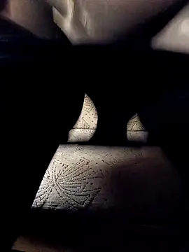 NyushaM online show from 27, 10, 2025