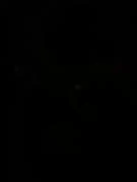 WildNour online show from 13, 4, 2026