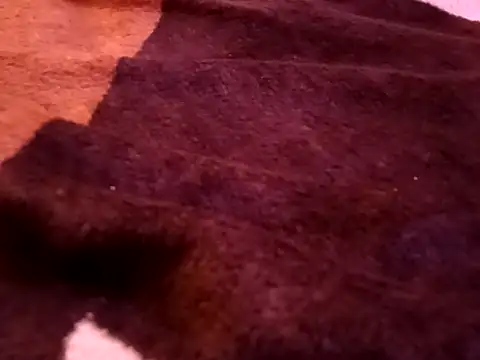 bigtelugubhama online show from 7, 2, 2026