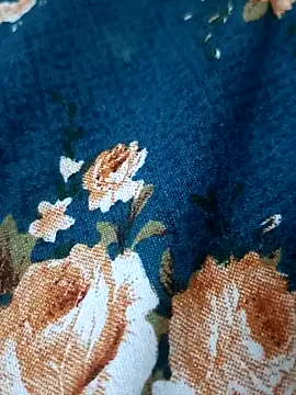 bigtelugubhama online show from 17, 2, 2026