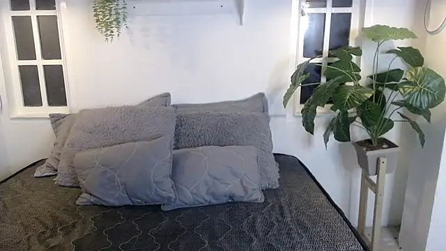 Noah  20 online show from 31, 10, 2025