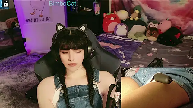 BimboCat online show from 14, 12, 2025