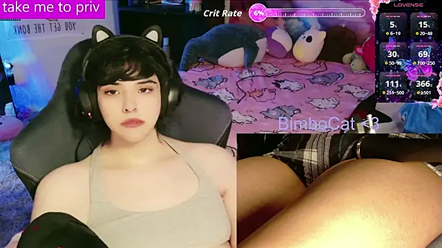BimboCat online show from 3, 2, 2026