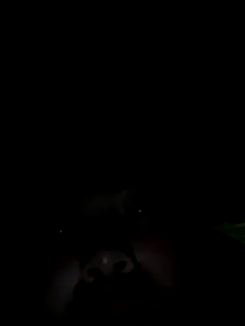 Nul-chal online show from 5, 1, 2026