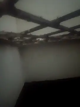 Pallu Asha online show from 15, 3, 2026