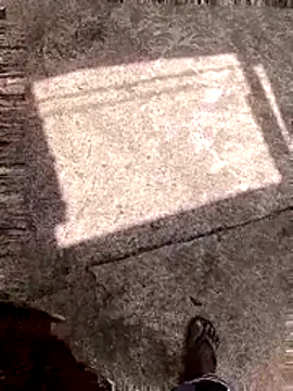 DK 9396 online show from 16, 2, 2026