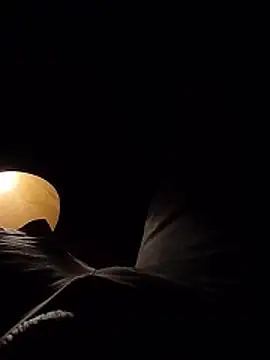 DK 9396 online show from 21, 2, 2026