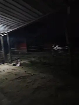 taylor1991V online show from 1, 12, 2025