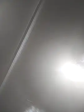 Elpichulotote20 online show from 29, 3, 2026