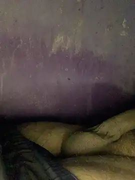 hotman29 online show from 24, 11, 2025