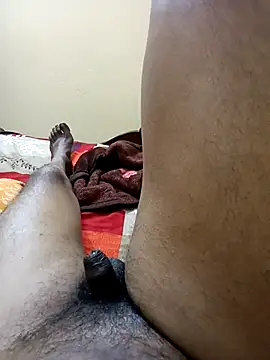 tamal2511 online show from 5, 1, 2026