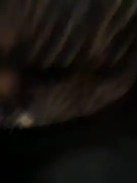 caramello-48888 online show from 7, 4, 2026