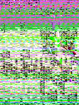 leenaboyxh online show from 27, 11, 2025