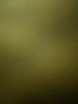 Snapshot of crazy_boy55 chatting on 15, 12, 2025 crazy boy55 online show from 15, 12, 2025