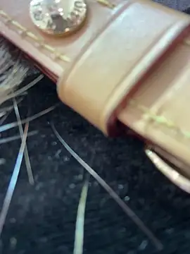 Cara-02 online show from 19, 11, 2025