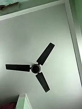 butterflydoll55sexolina online show from 11, 11, 2025