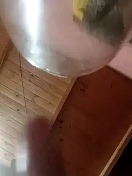 Camicam 04 online show from 16, 11, 2025