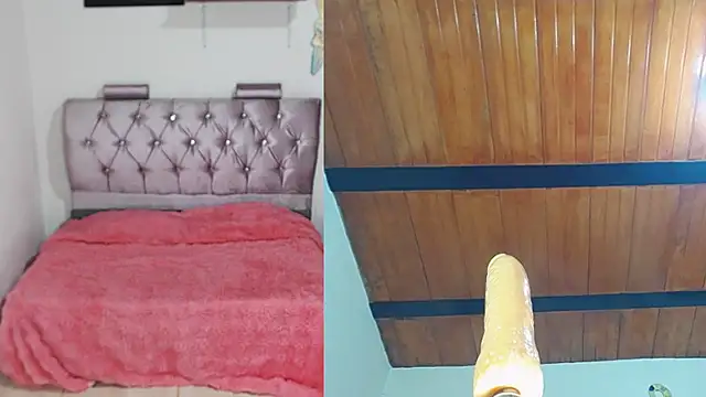 maia funny online show from 28, 11, 2025