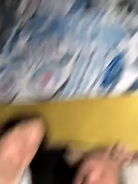 marchigiana online show from 23, 11, 2025