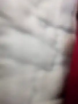 Tayanehot online show from 12, 4, 2026