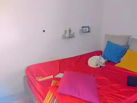 Snapshot of hotcassy chatting on 25, 2, 2026 hotcassy online show from 25, 2, 2026