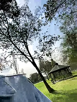 Snapshot of nani_rosse_of chatting on 20, 11, 2025 nani rosse of online show from 20, 11, 2025