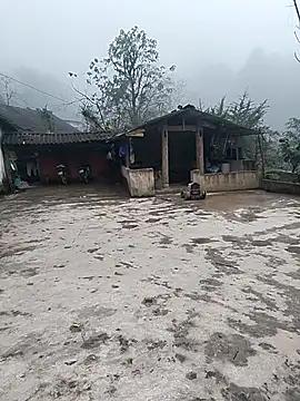 gugu0022 online show from 16, 1, 2026