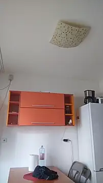 Dale E online show from 28, 1, 2025