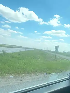 miatate online show from 21, 3, 2026