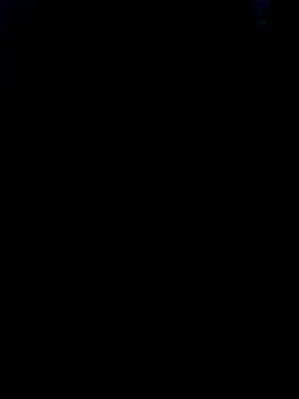 Heterobusca online show from 30, 11, 2025