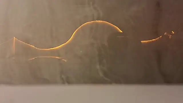 samy tp online show from 5, 12, 2025