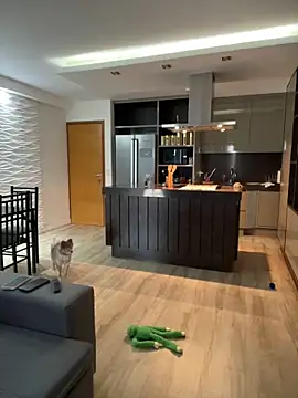 BelleRune online show from 1, 1, 2025