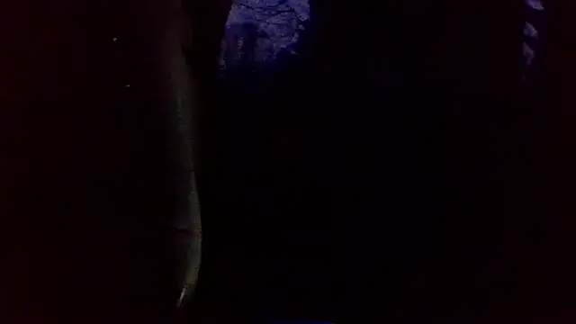 Snapshot of dickencidr chatting on 19, 3, 2026 dickencidr online show from 19, 3, 2026