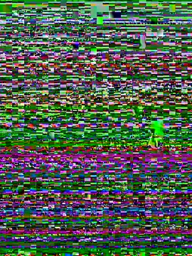 Maria-Becker online show from 5, 1, 2026