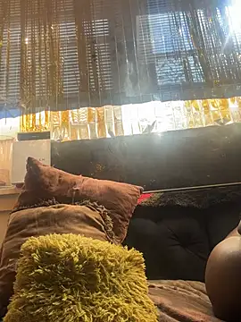 Motherbigbus online show from 8, 2, 2026