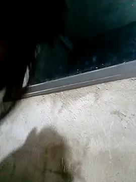 Ava-120 online show from 17, 2, 2026