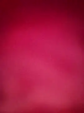 starnighcouple online show from 16, 12, 2025