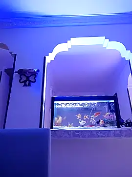 karlatasty online show from 18, 11, 2025