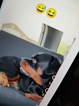 Sainicpl online show from 5, 12, 2025