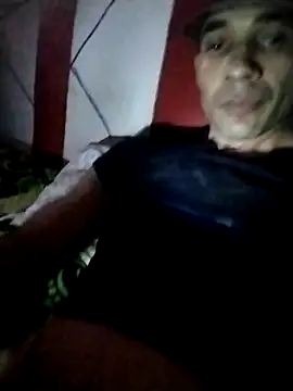 aletr15la online show from 29, 11, 2025