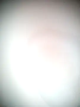 Ariana101 online show from 24, 11, 2025