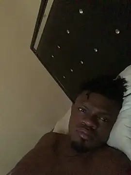 laperson online show from 31, 3, 2026